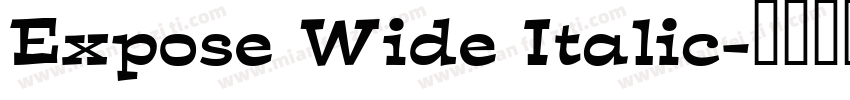 Expose Wide Italic字体转换